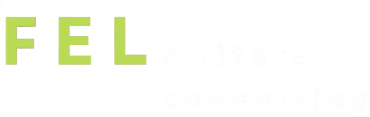 FELcilitate consulting